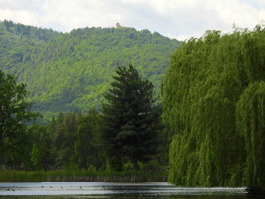 Góra Chojnik w tle