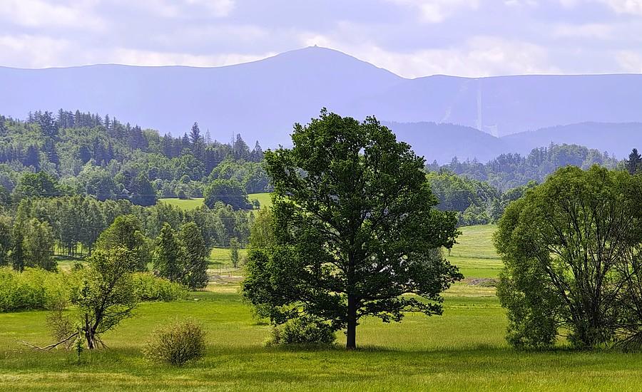 Widok z granicy Jeleniej Góry