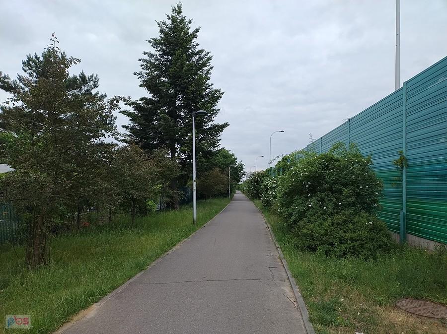 Ddr wzdłuż ogródków działkowych na Bielanach