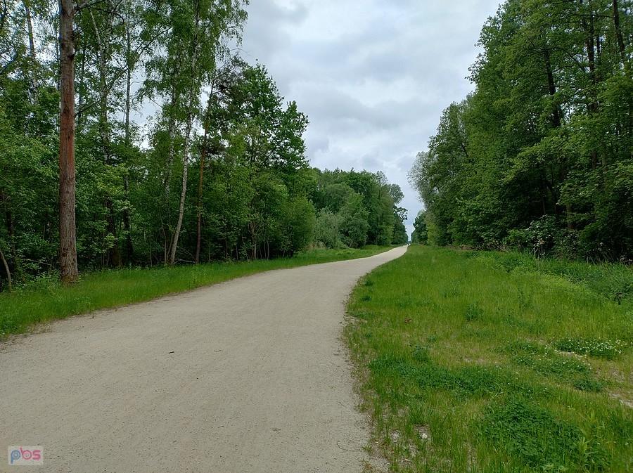 Przez las
