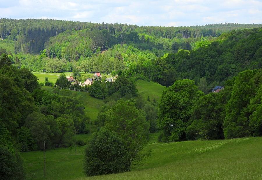 Widok z podjazdu
