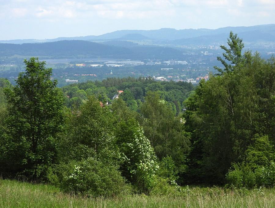 Widok z podjazdu
