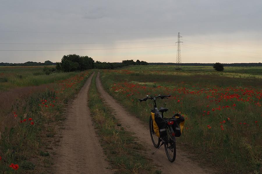 Smugi opadowe coraz bliżej, uciekam do domu