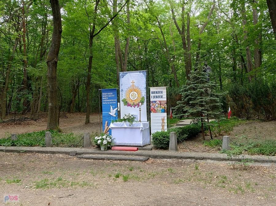 Pomnik w parku otoczony zielenią