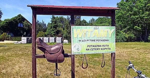 Potasznia wita