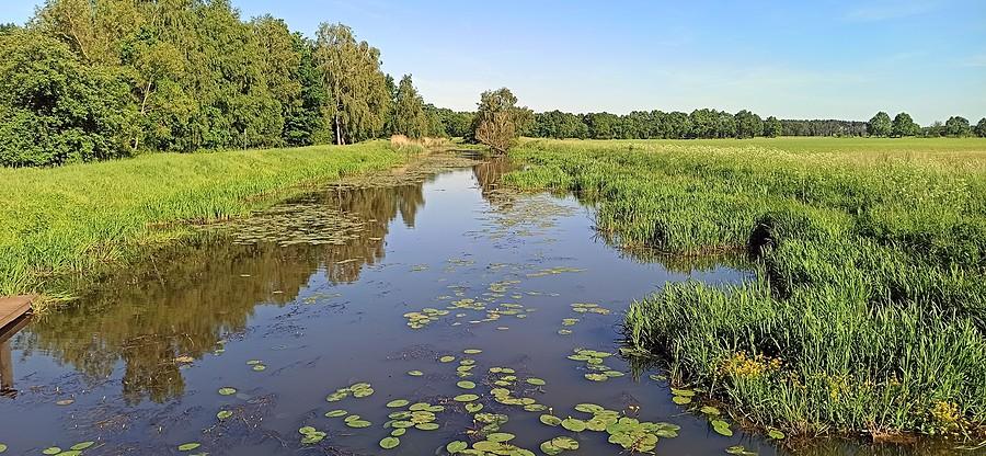 Park Krajobrazowy Dolina Baryczy