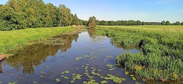 Park Krajobrazowy Dolina Baryczy