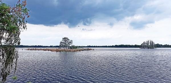 Rezerwat przyrody Stawy Milickie. Staw Słoneczny