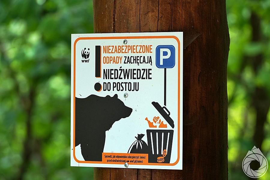 w Bieszczadach nei dają zjeść misiom