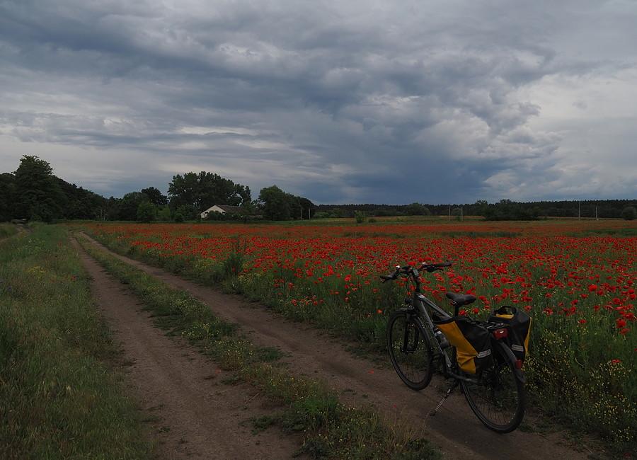 Pole, maki i kolejna burza na południu