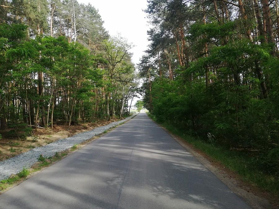Przed Odolanowem.