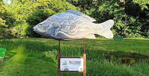 Karp przed pałacem Maltzanów
