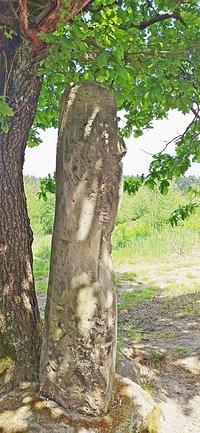 Kamień Szwedzki z XVII w.,zwany także Słupem Napoleona,  to kamień graniczny usytuowany na granicy dawnych wolnych państw stanowych: milickiego i żmigrodzkiego.
