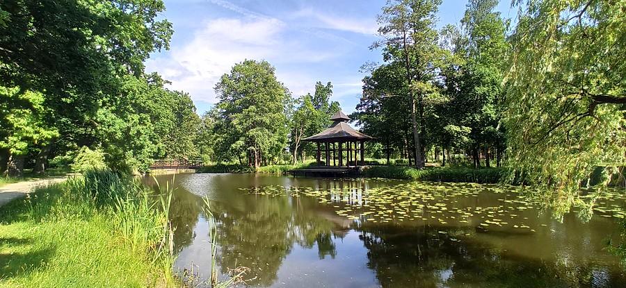 Park przypałacowy w Żmigrodzie