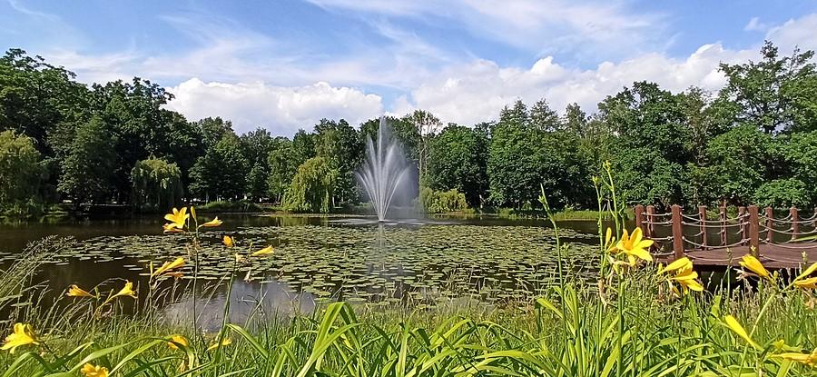 Staw z fontanną w przypałacowym parku