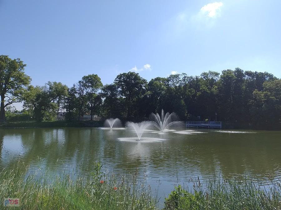 Staw w Ołtarzewie