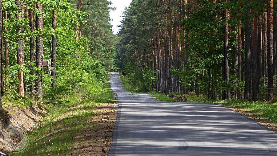 asfalty przez kolbuszowskie lasy