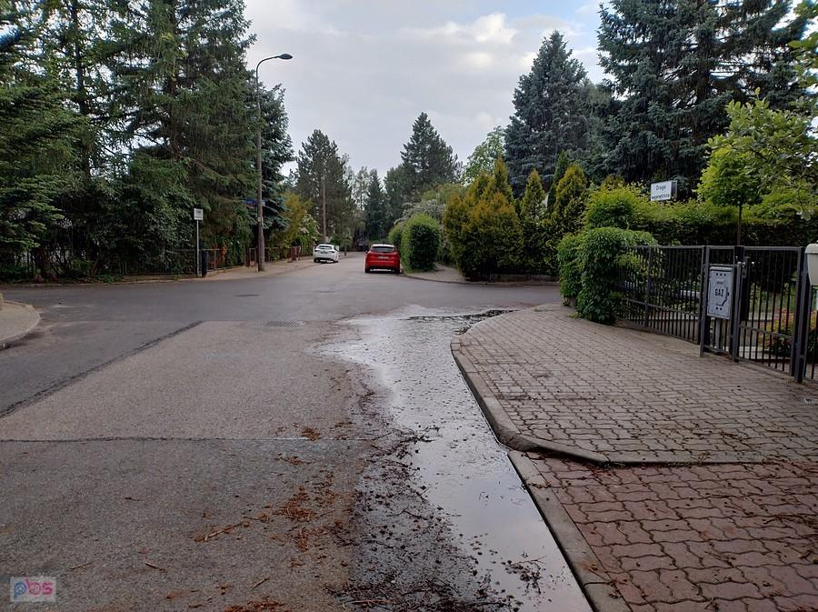 Postój pod drzewkiem. Padało krótko, ale intensywnie
