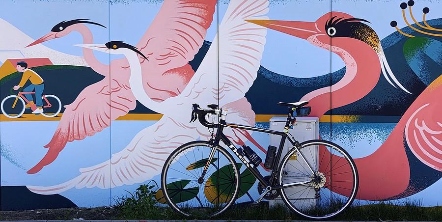 Czapli mural z Lusówka