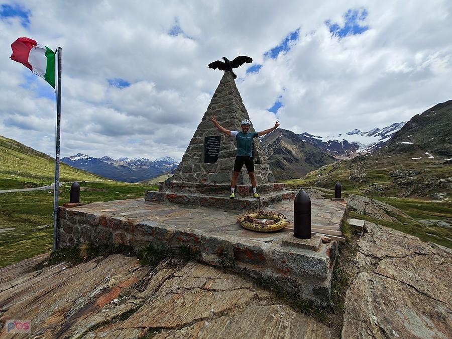 Gavia