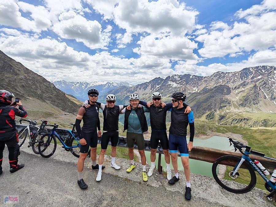 Gavia