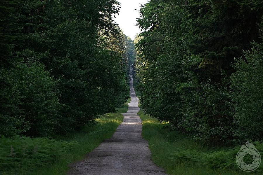 drooooga na Świnią Górę