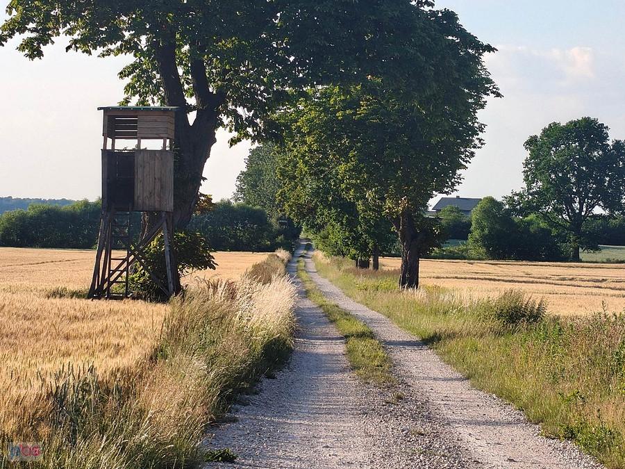 Kotków-Świniowice