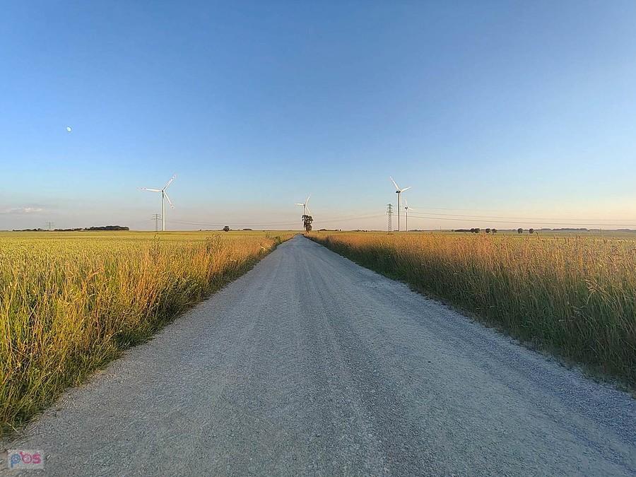 Radonia-Wiśnicze