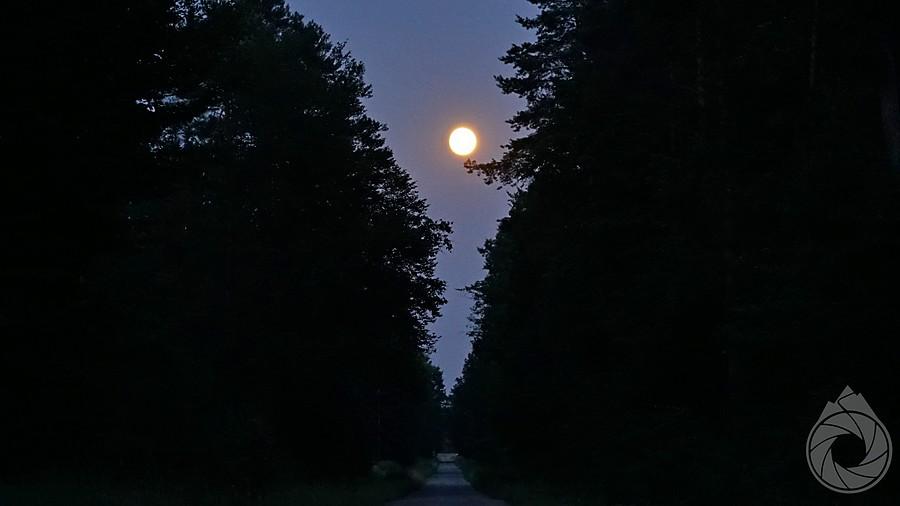 nocna droga przez lasy kolbuszowskie