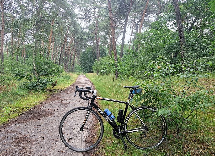 Deszczowa rowerówka przy Wilczym Młynie