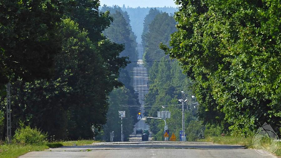 pohopkowana prosta odrowąska