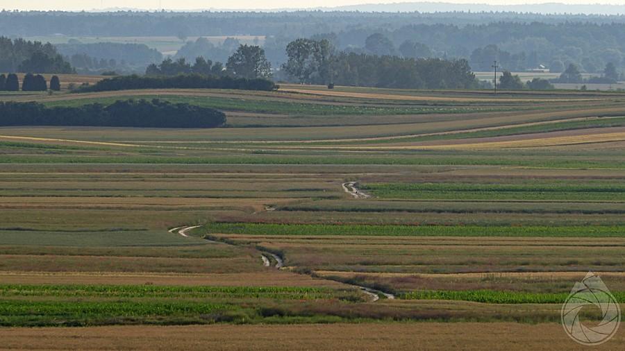pokręcona gravelówka roztoczańska