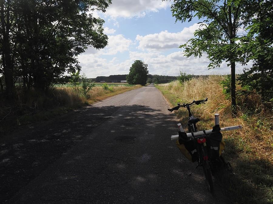 Droga między Starymi Biskupicami a Sułowem