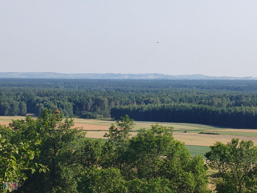 Widoki z Coglowej Góry