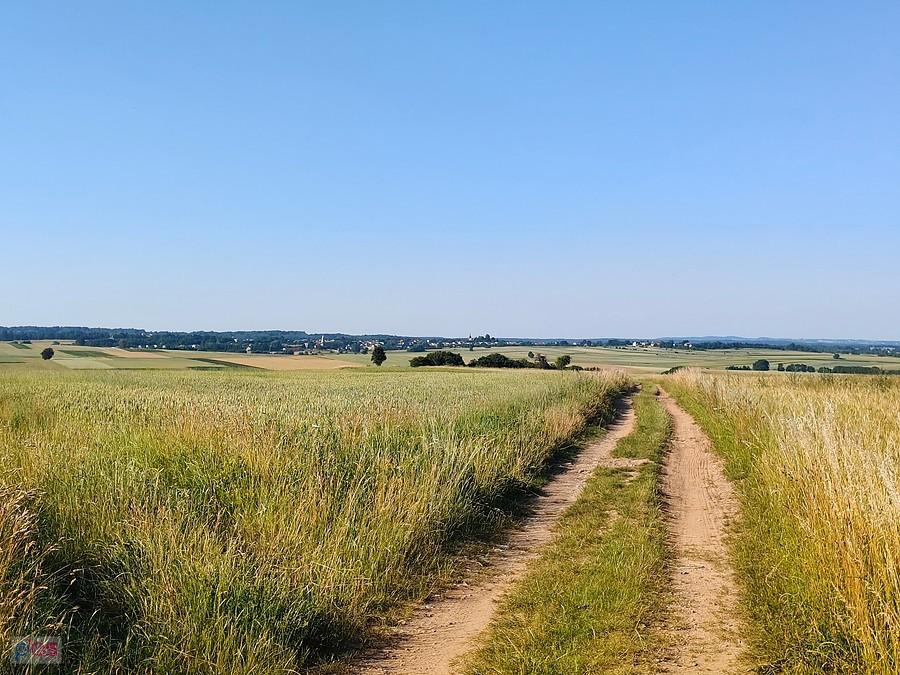 Widoczki z Cynkowa