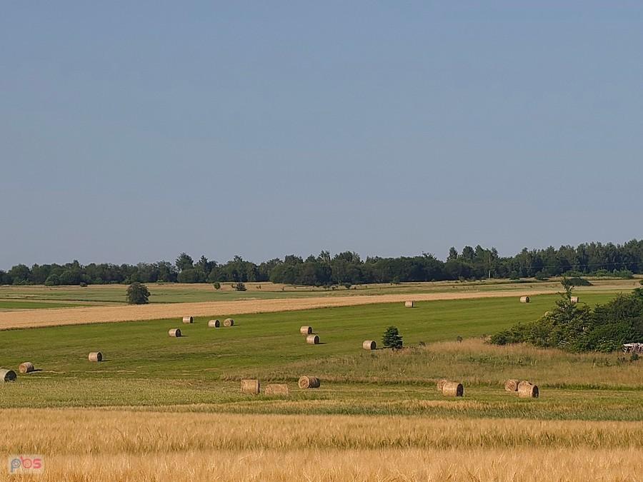 Rolnicze pejzaże Śląska