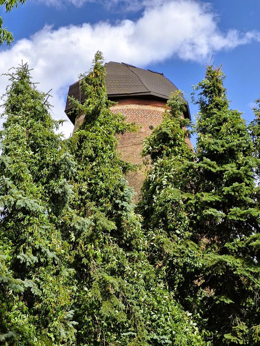Wiatrak "Holender" przy Cmentarzu Centralnym w Szczecinie
