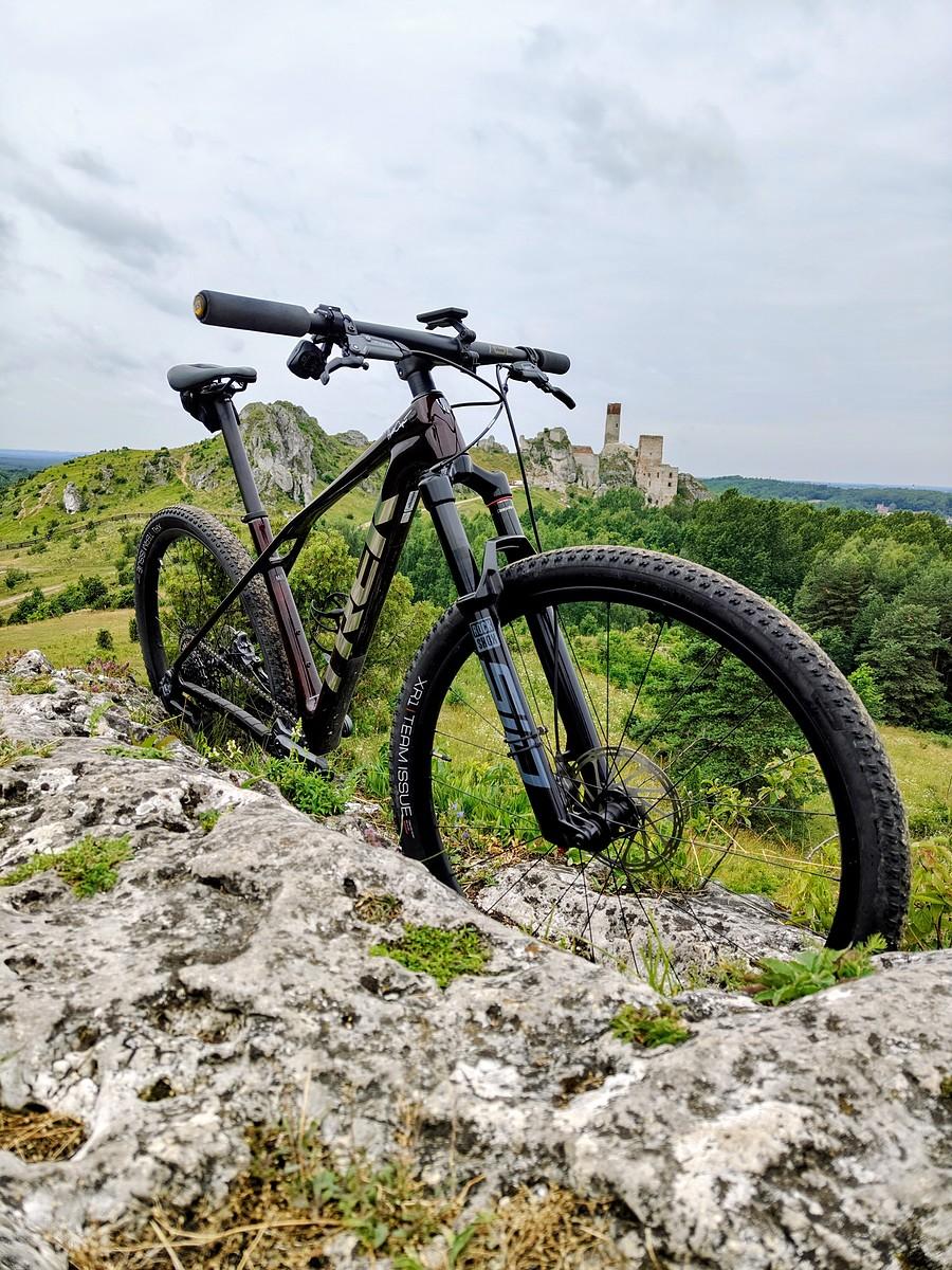 Proca na ostańcu za zamkiem w Olsztynie.