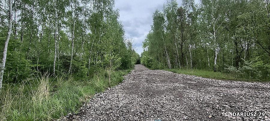 Sosnowiec - Nowe drogi rowerowe w dzielnicy Klimontów