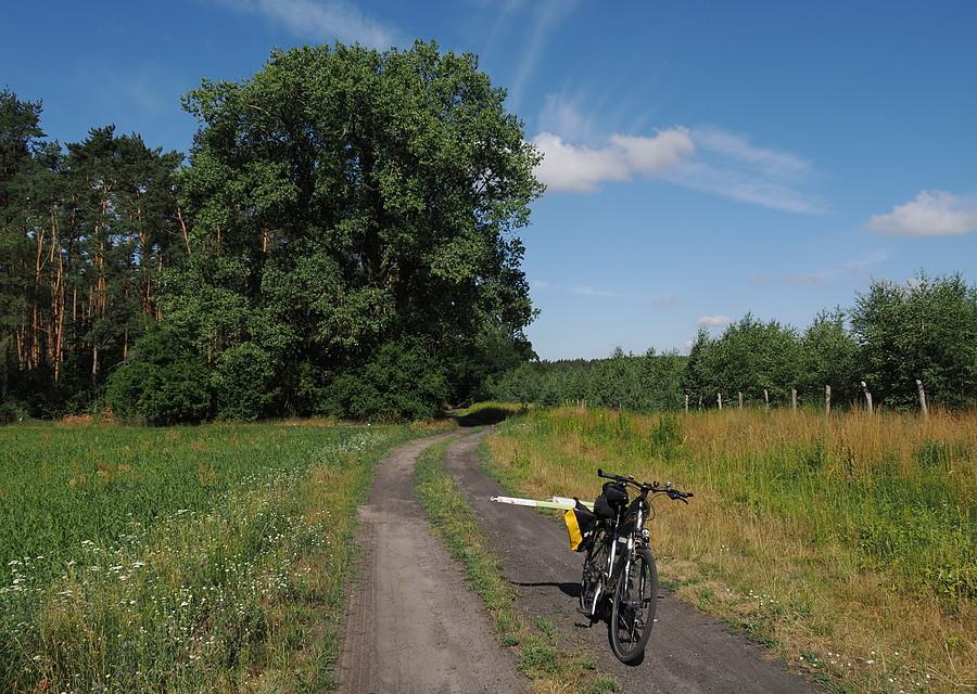 Tour de rolety