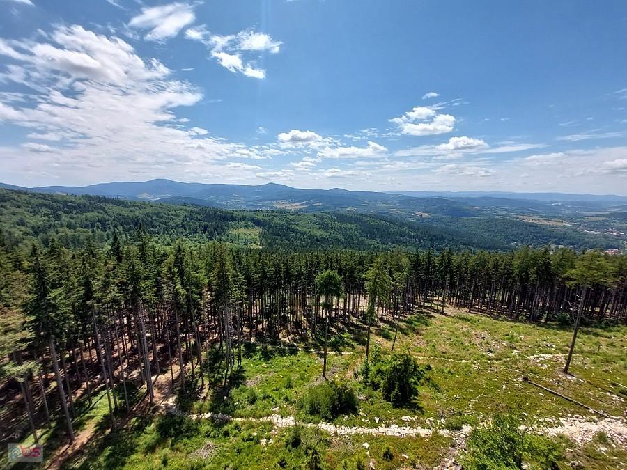 Widok na Masyw Śnieżnika z Trojaka