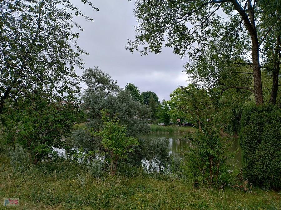 Staw w Bliznem od strony kościoła