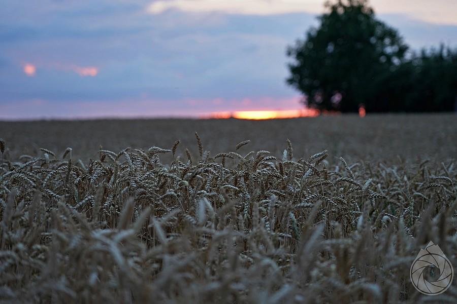 koniec dnia koło Świdnika