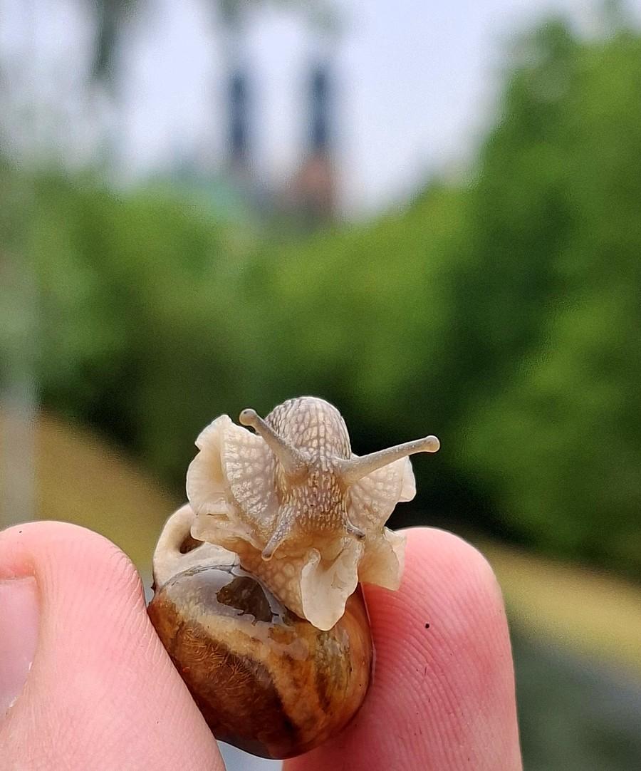 Mały obcy podczas przenosin :)