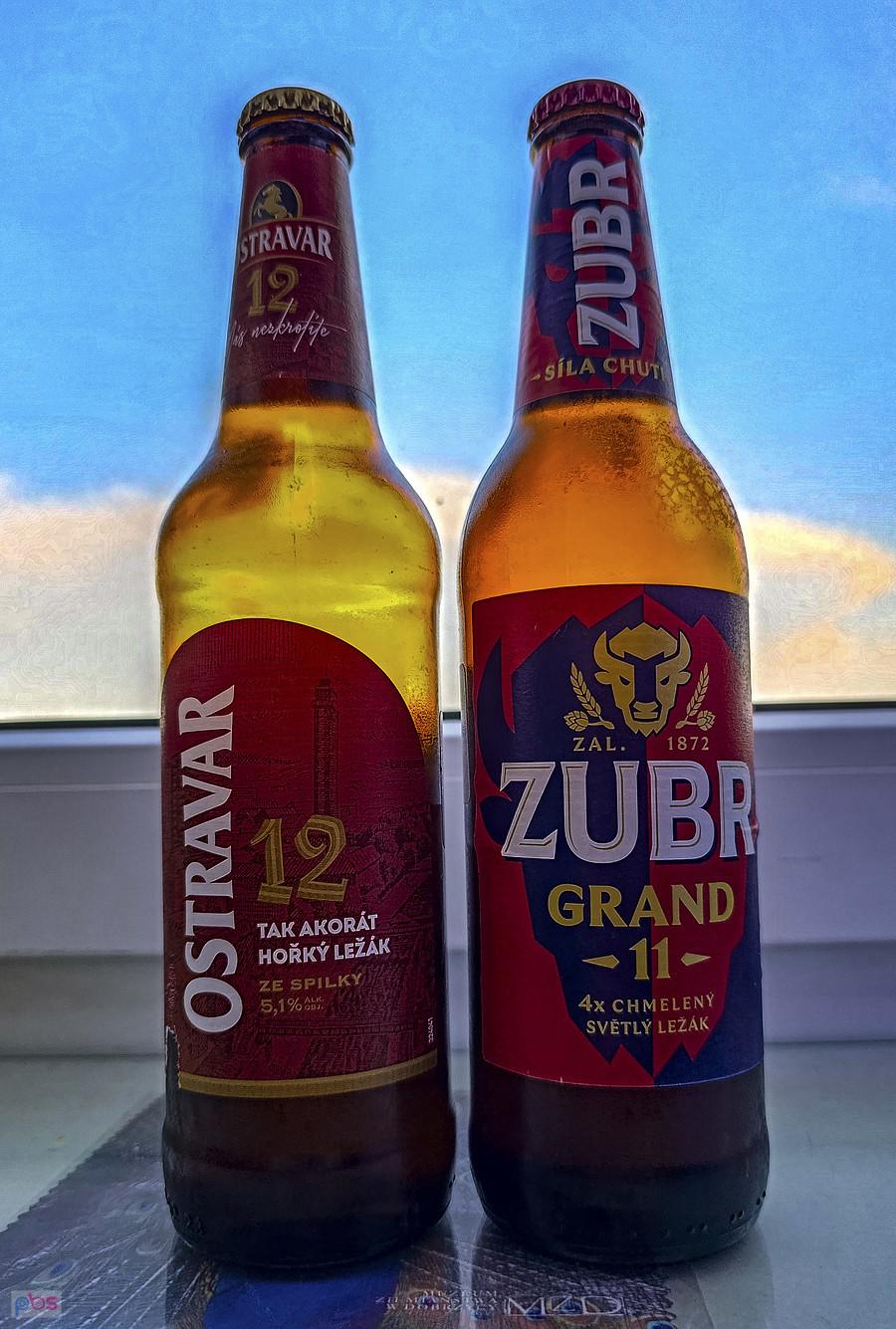 Chyba zacznę od Zubra