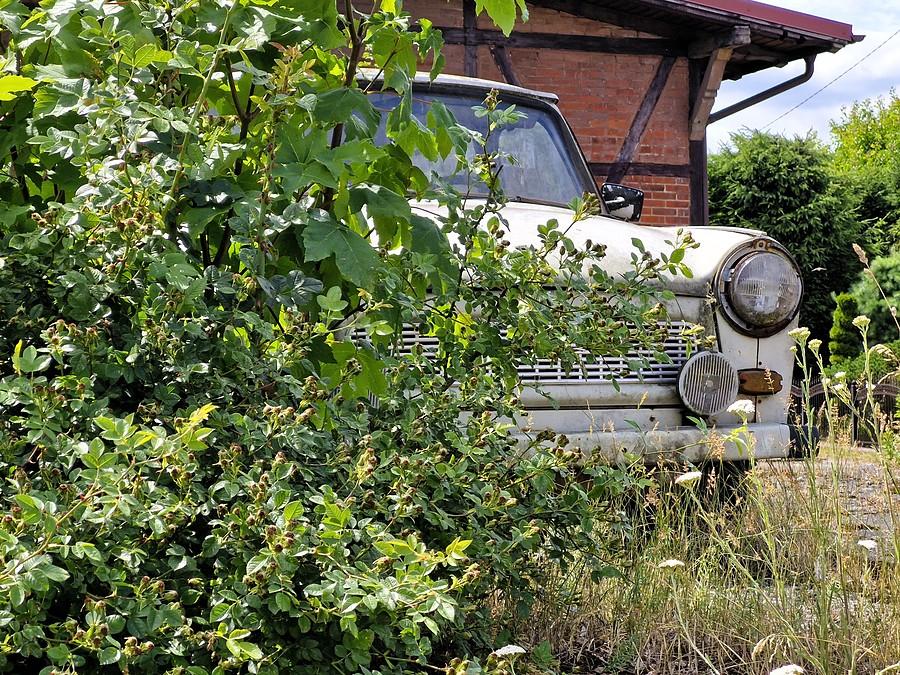 Trabant w Trzcińsku-Zdrój