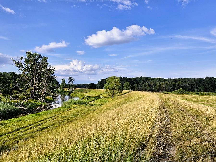 Wał przeciwpowodziowy nad Odrą w Stanach
