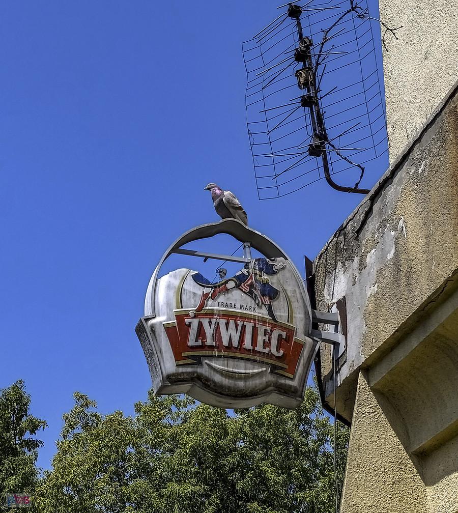 Detale otwockiej wieży ciśnień