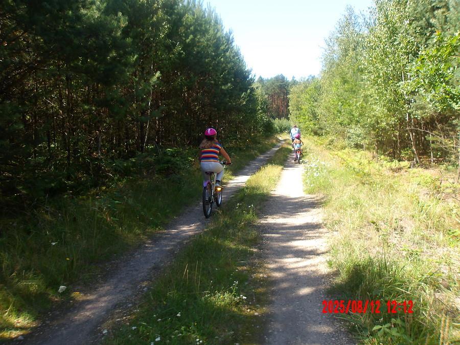 na leśnej drodze