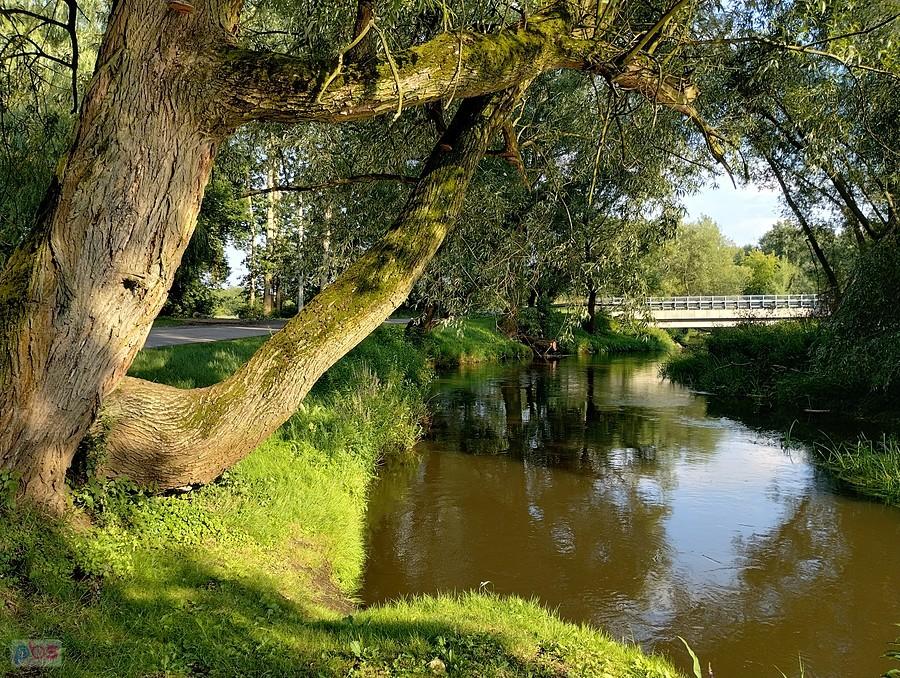 Jaskrów